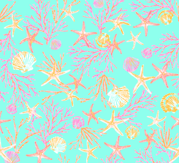 25-CO-BB7 CORAL SEA